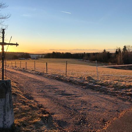 Apartament Pfaffensteghof Rickenbach  Zewnętrze zdjęcie
