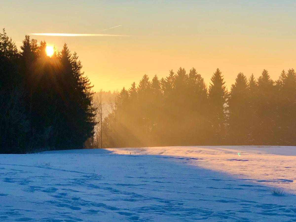 Apartament Pfaffensteghof Rickenbach  Zewnętrze zdjęcie