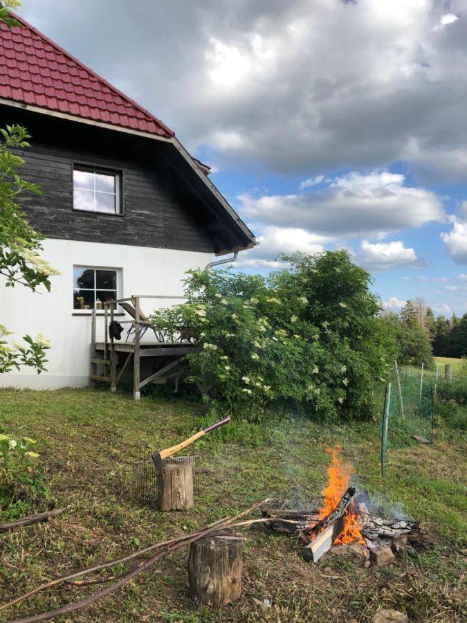 Apartament Pfaffensteghof Rickenbach  Zewnętrze zdjęcie