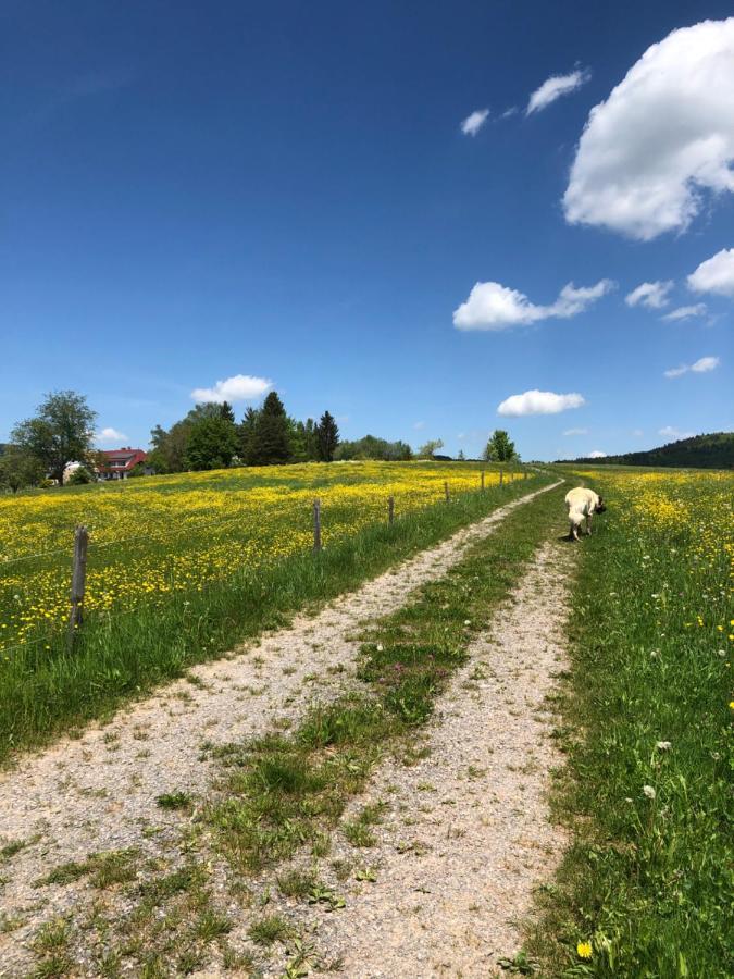 Apartament Pfaffensteghof Rickenbach  Zewnętrze zdjęcie