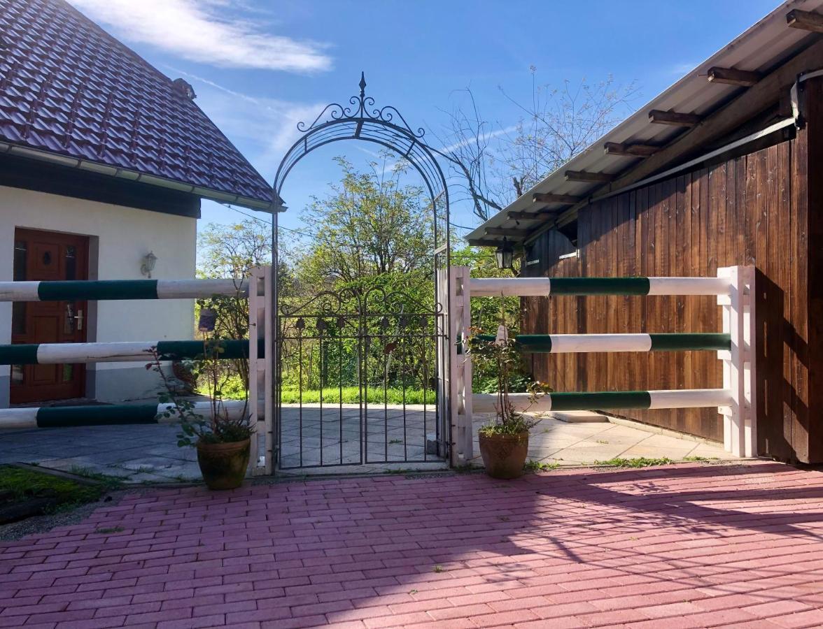 Apartament Pfaffensteghof Rickenbach  Zewnętrze zdjęcie